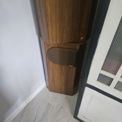 Bose 401 Floor Speakers