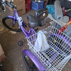 Brand New Fully Functional Beach Cruiser