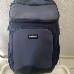 Igloo Insulated Backpack