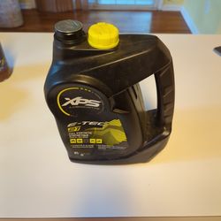 Sea-Doo/Ski-Doo XPS 2 Stroke Full Synthetic