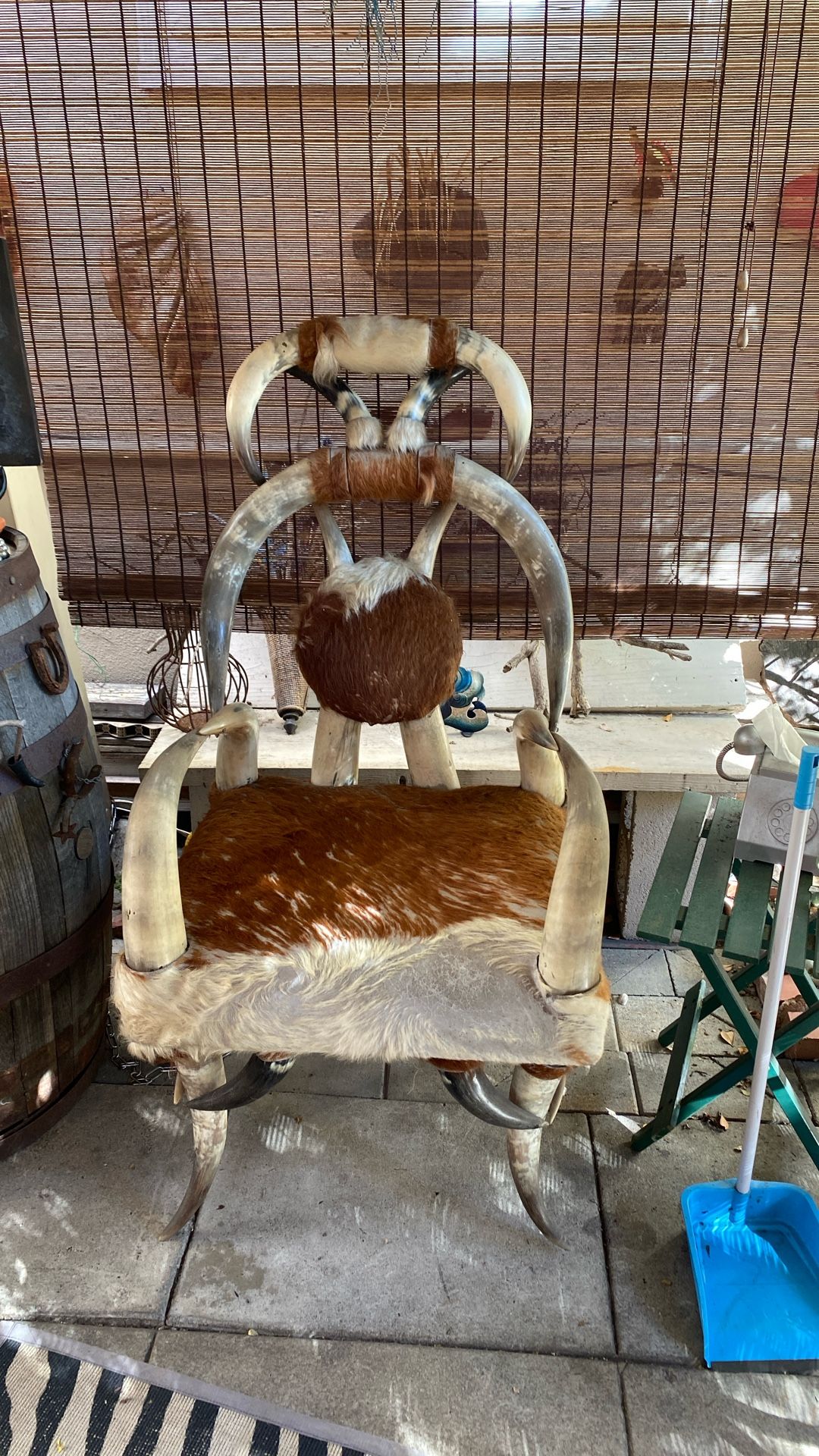 Wonderful  Horn  And Hide Throne With Footstool