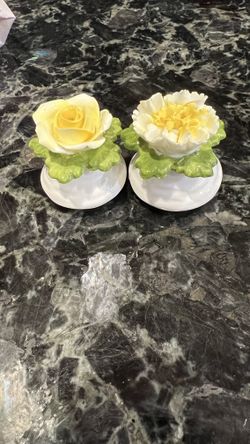 Salt And Pepper Shakers/ Bone China