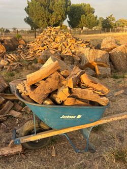 Oak firewood