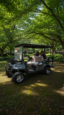 OCC Electric Golf Cart in new condition