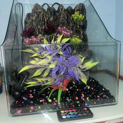 Beautiful Waterfall Fish Tank 