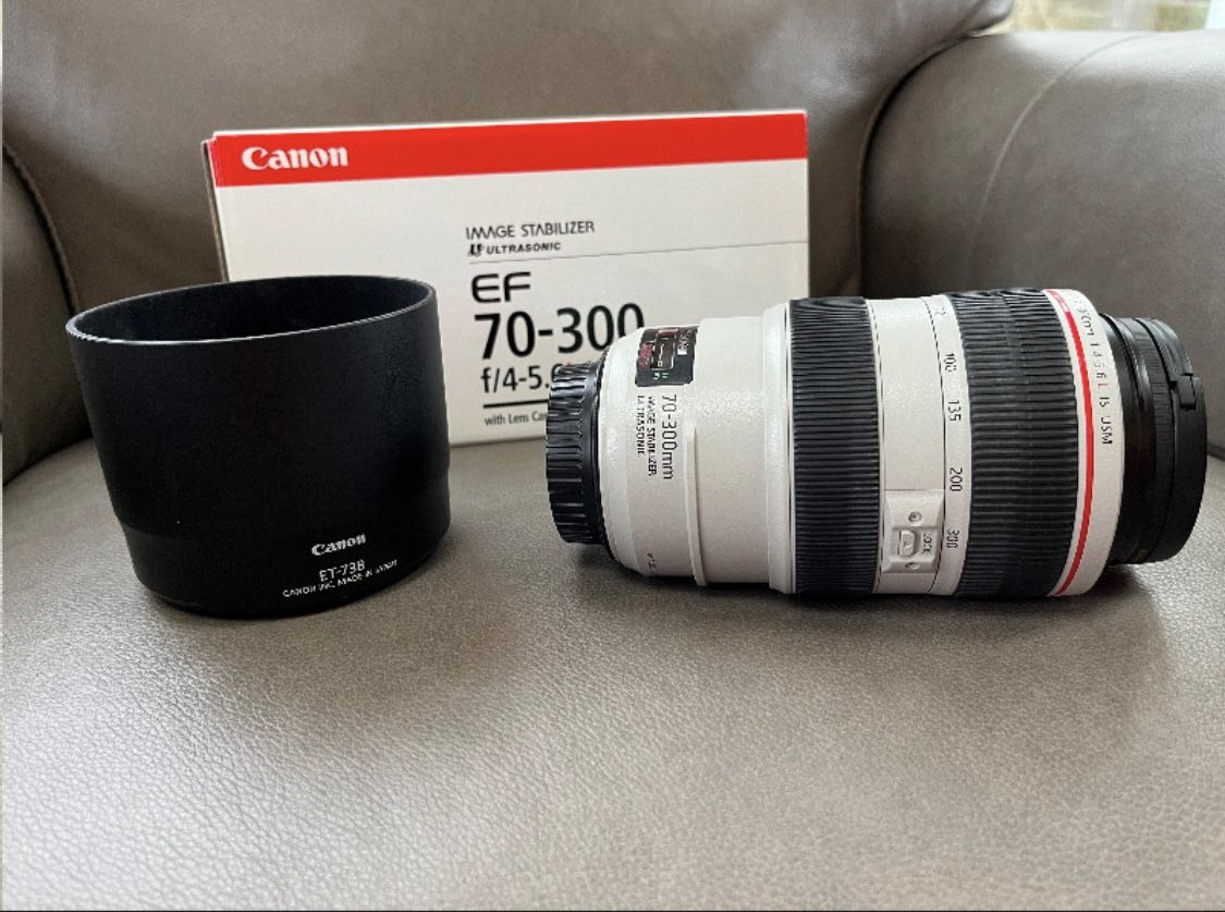 Canon EF 70-300 L Lens