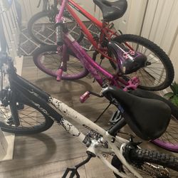 1 Mountain Bike And 2 Bmx For $99.99