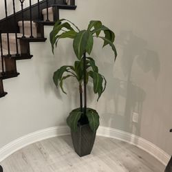 Decoration 