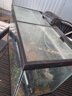 Fish tank with everything