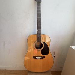 Acoustic Guitar 