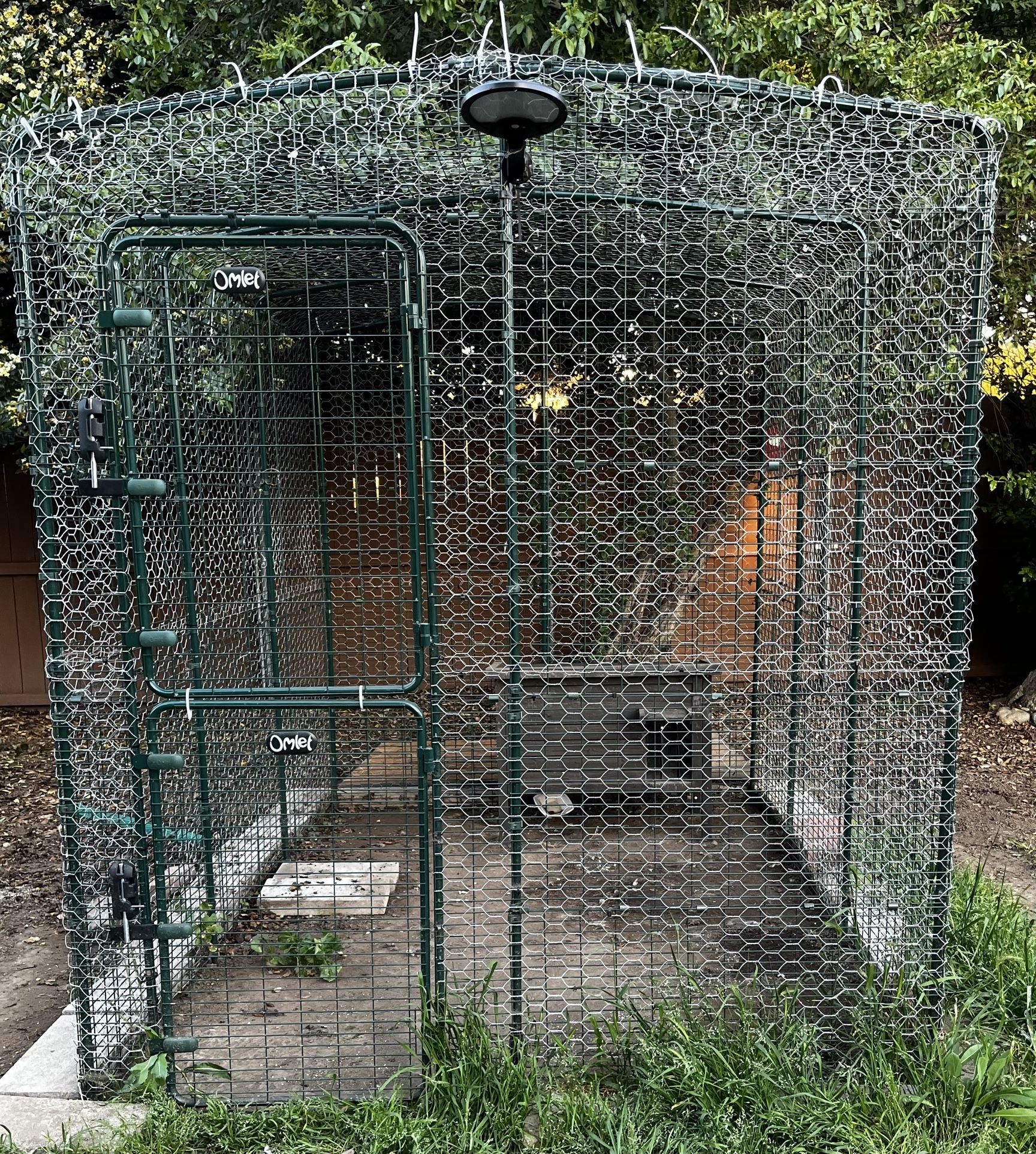 Omlet Catio, Dog kennel, Chicken Run Etc