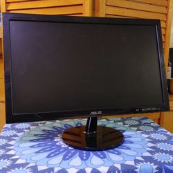Asus 19in By 12 In Computer Monitor