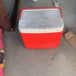 Igloo Cooler Free 