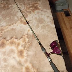 SilverEagle Telescopic Spin Rod (Complete)