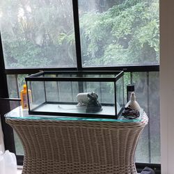 Pretty New  Fish Tank Lightly Used-i Think Its 30 Gal. Comes With Lights, Filter, Decorations, Etc