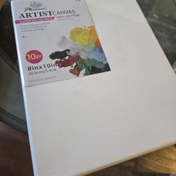 10 New 8x10 Stretched Canvas In Package 