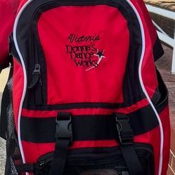 Black And Red Embroidered Backpack