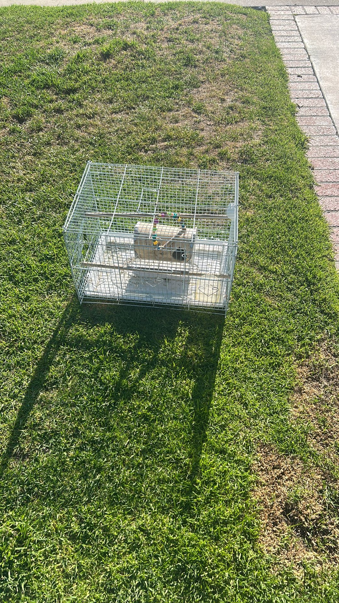 Bird Cage