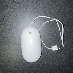 Apple Mouse