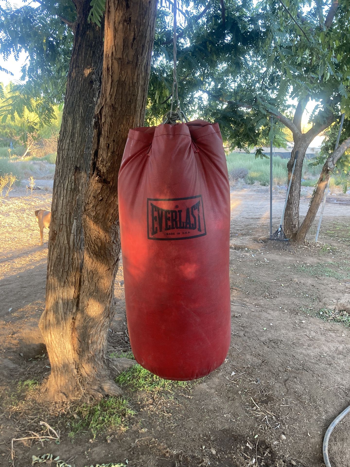 Everlast Punching Bag