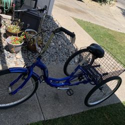 Schwinn Meridian Three Wheeler