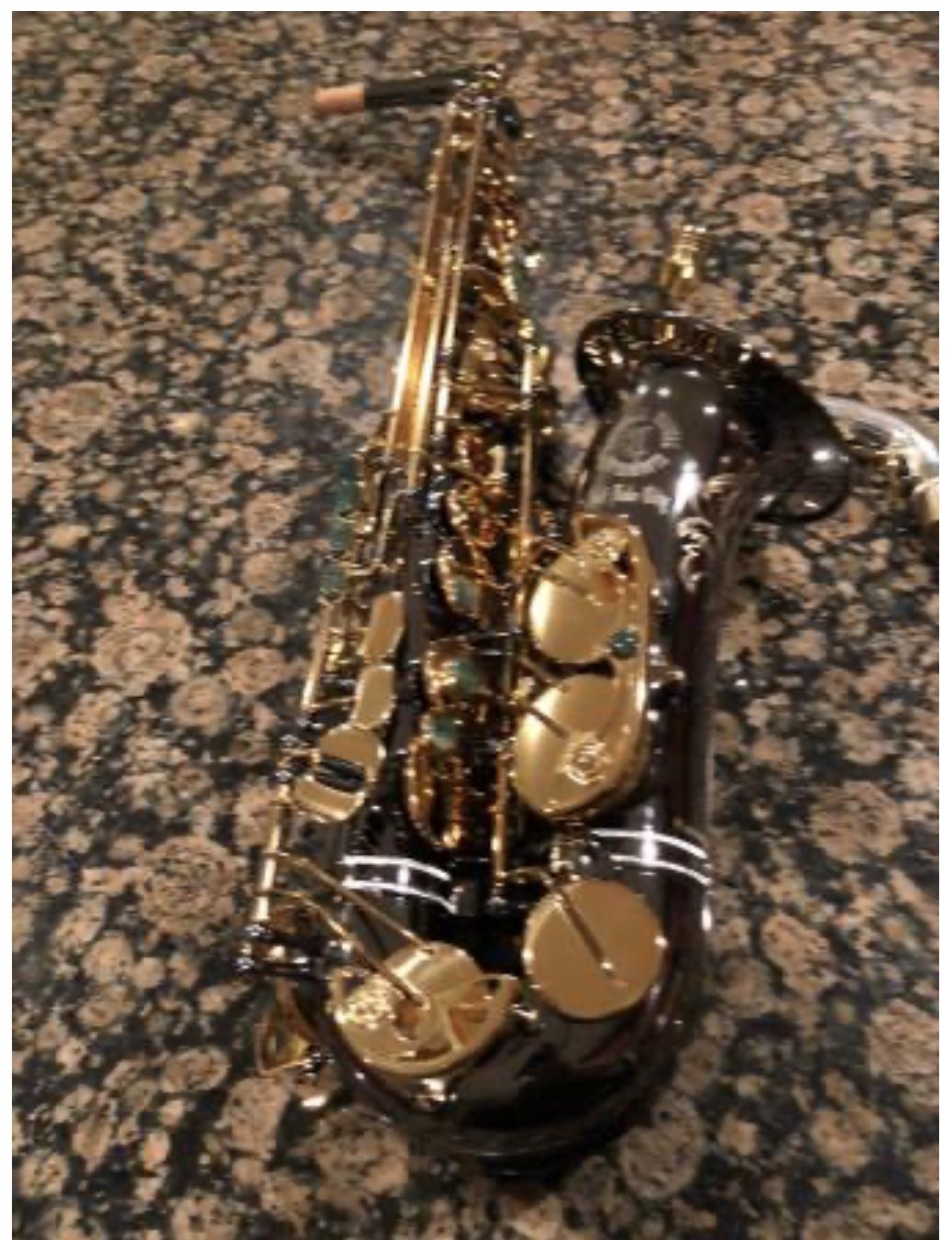 Alto Saxophone Cannonball Big Bell Professional