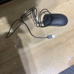 Mouse