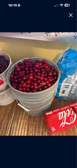Cherries