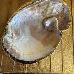 Mother Of Pearl Shell Dish With Two Inverted Natural Pearls