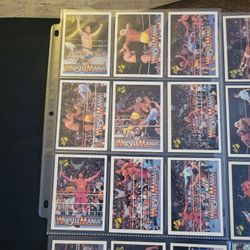 Wrestling Card Lot (WWE, WWF, WCW, Holos, Vintage & Modern) 