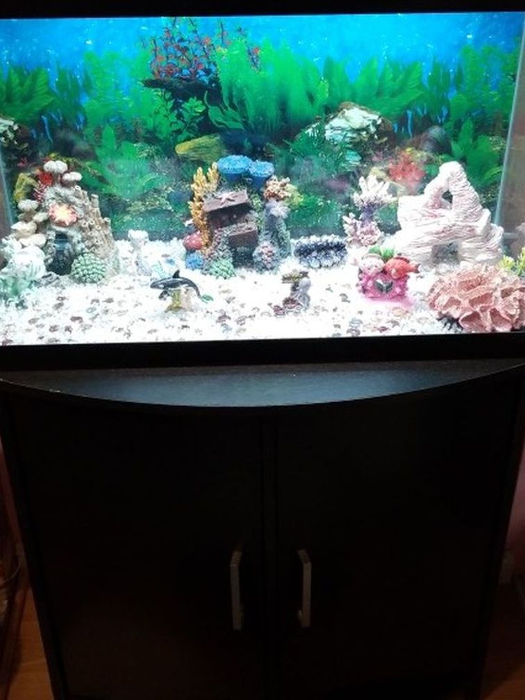 Fresh Water Fish Tank 29 Gallons With Stand, Decorations and Accessories