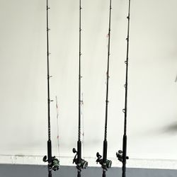 fishing rods COMBO