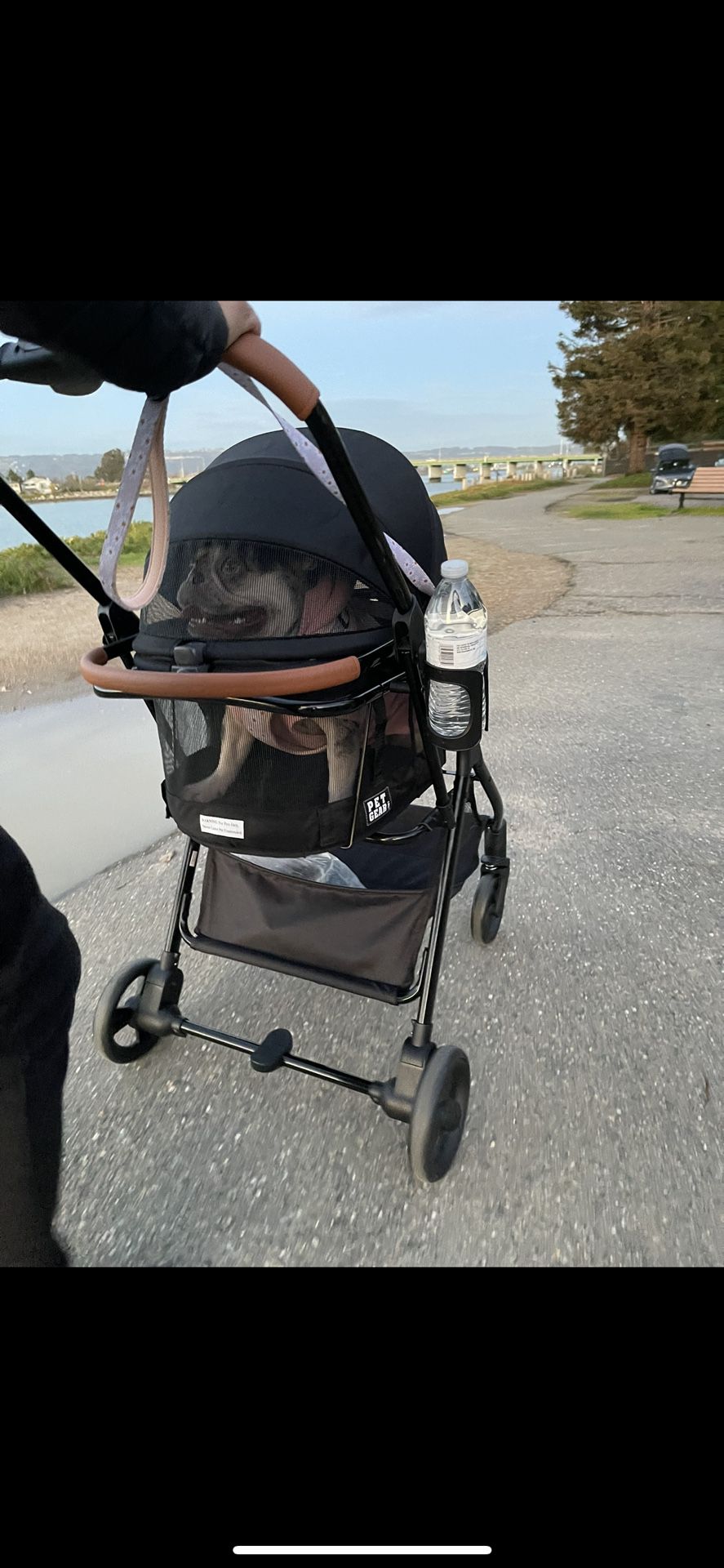 Pet Gear 3-in-1 Dog Stroller 