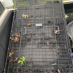 Large Dog Crate 