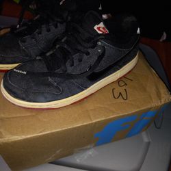 Nike Dunk Low Premium SB