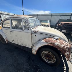 1967 Volkswagen Beetle