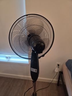 Amazon basic standing fan (25$, orginal 45$, brand new condition)