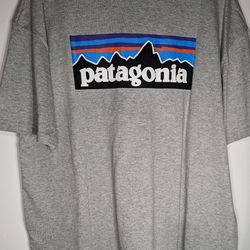 Gray Patagonia T-shirt