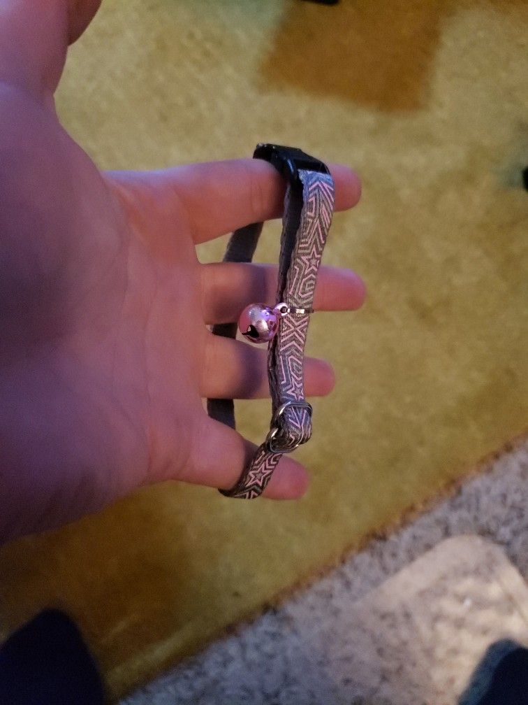 Breakaway Cat Collar