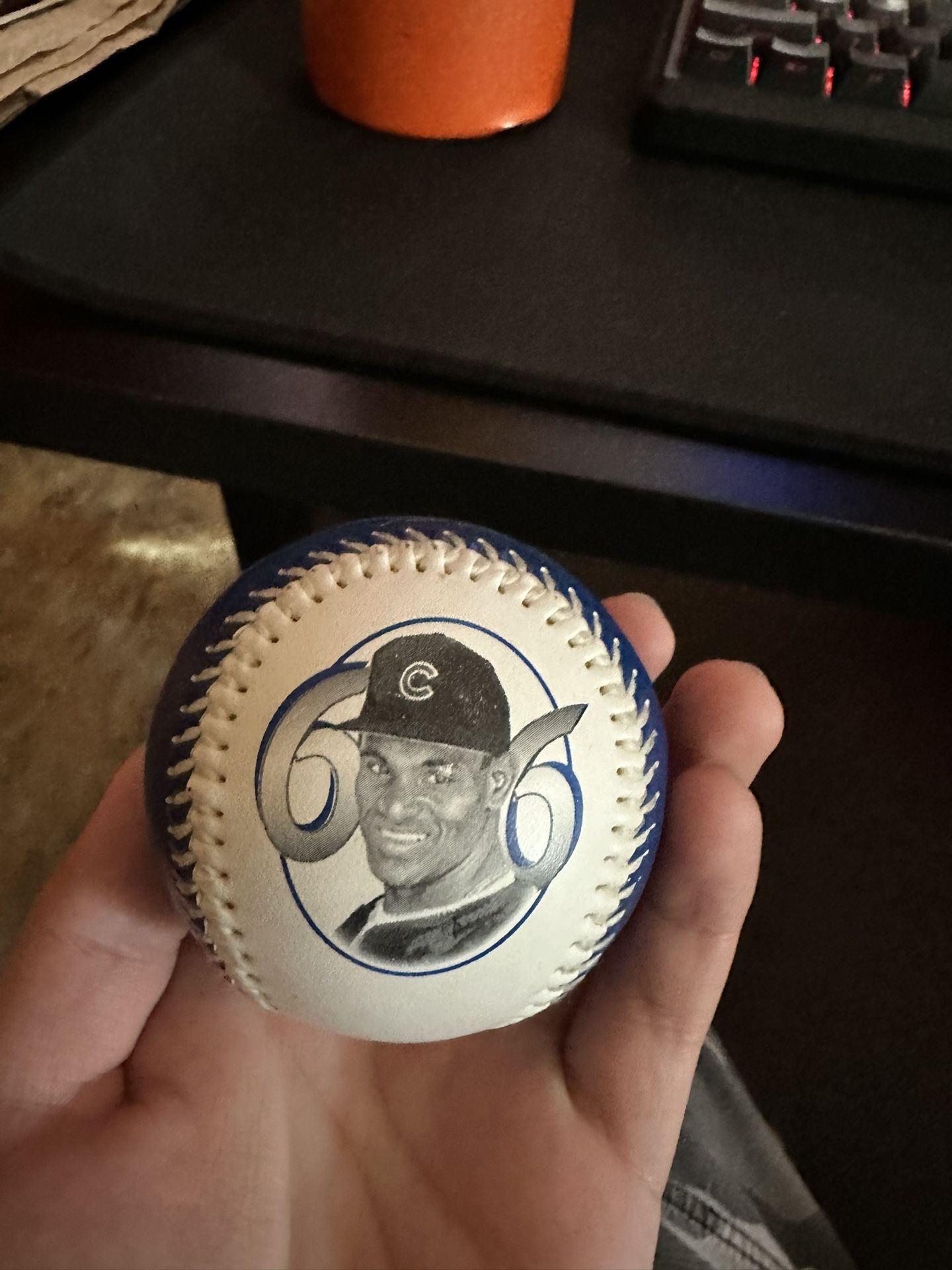 Sammy Sosa 66 Home Runs 1998 photo baseball