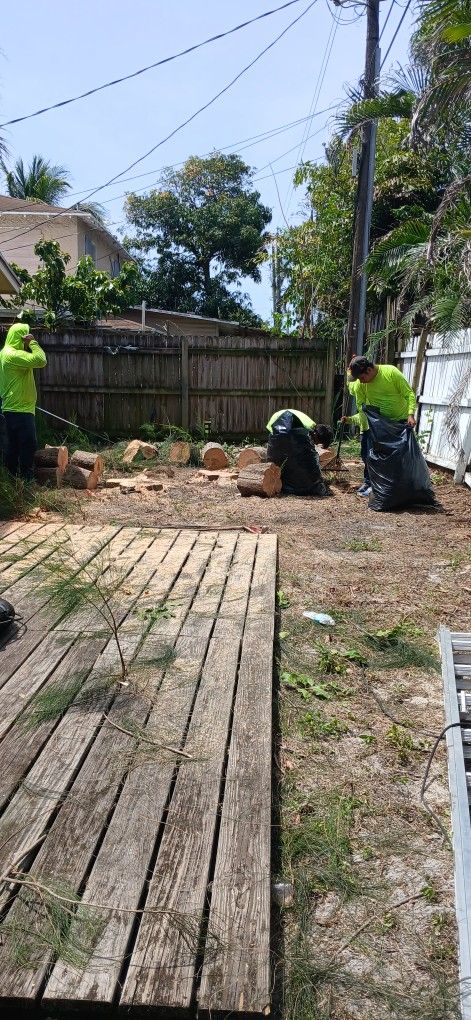 Tree Work