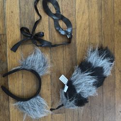 Raccoon Accessories Costume