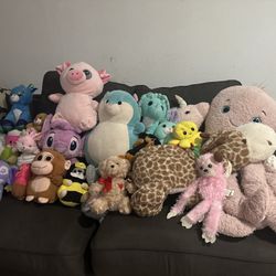 Stuffed Animals