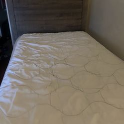 Twin Bed Frame Only 