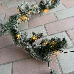 Rabo De Gato 7 Pie De Largo 