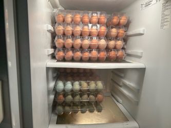 Fresh eggs