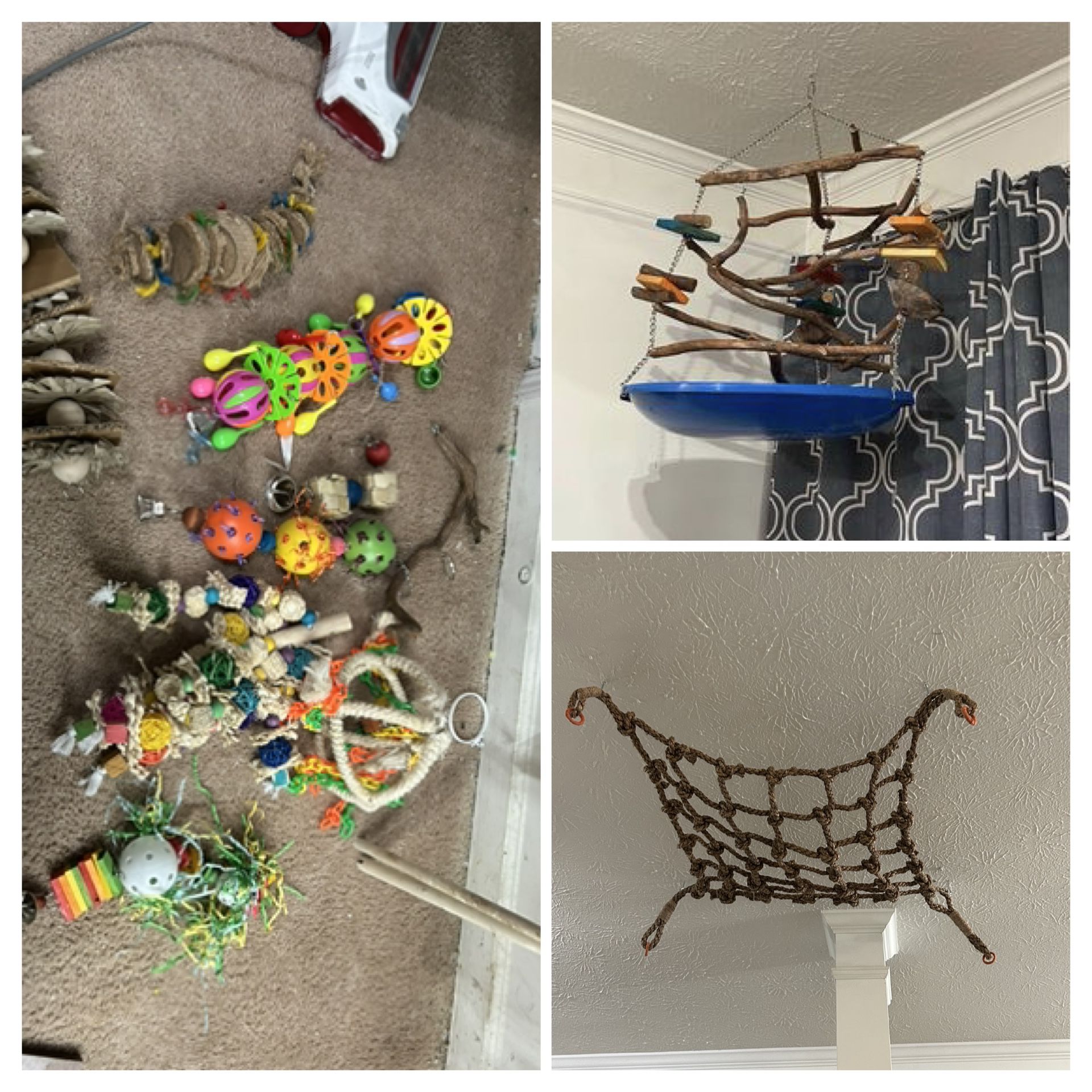 Bird Toys