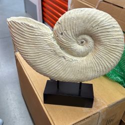 Sea Shell Sculpture Of Moon Seashell 