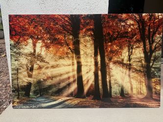 Print picture