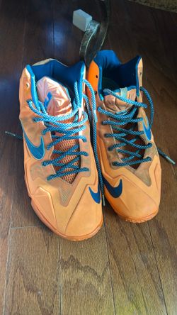 LeBron James Nike Shoes